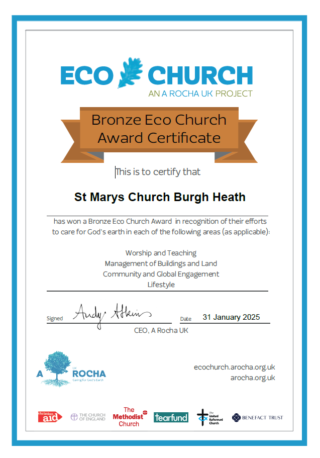 Bronze Award St Mary's